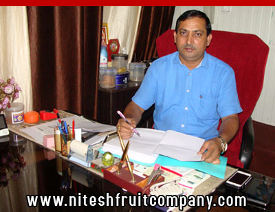nitesh fruit company - banana cold storage in ludhiana punjab - banana ripening plant in ludhiana punjab - banana suppliers distributors in ludhiana punjab india