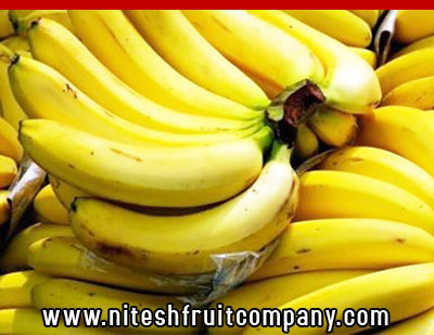 nitesh fruit company - banana cold storage in ludhiana punjab - banana ripening plant in ludhiana punjab - banana suppliers distributors in ludhiana punjab india