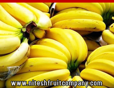 nitesh fruit company - banana cold storage in ludhiana punjab - banana ripening plant in ludhiana punjab - banana suppliers distributors in ludhiana punjab india