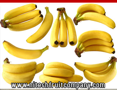 nitesh fruit company - banana cold storage in ludhiana punjab - banana ripening plant in ludhiana punjab - banana suppliers distributors in ludhiana punjab india