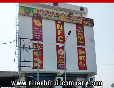 nitesh fruit company - banana cold storage in ludhiana punjab - banana ripening plant in ludhiana punjab - banana suppliers distributors in ludhiana punjab india