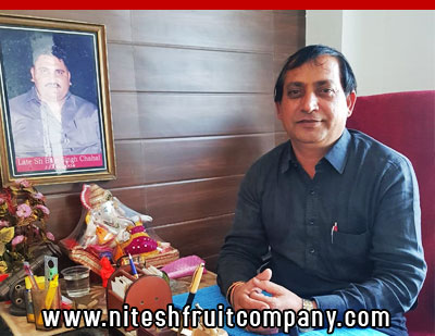 nitesh fruit company - banana cold storage in ludhiana punjab - banana ripening plant in ludhiana punjab - banana suppliers distributors in ludhiana punjab india