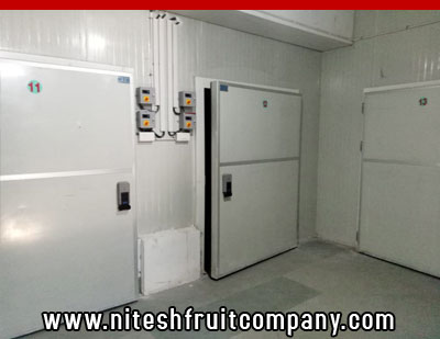 nitesh fruit company - banana cold storage in ludhiana punjab - banana ripening plant in ludhiana punjab - banana suppliers distributors in ludhiana punjab india